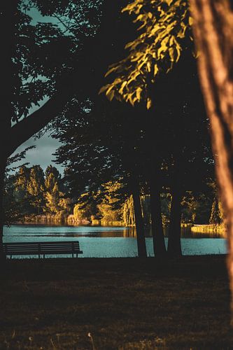 Bench looking on at Prince Henrik Park