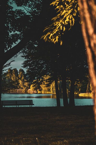 Bancs d'observation du parc Prince Henrik par Roel Timmermans