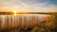 Zonsondergang boven de Amer