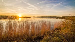 Sonnenuntergang über der Amer von Thomas van der Willik