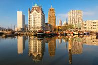 Oude haven Rotterdam in ochtendlicht van Ilya Korzelius thumbnail