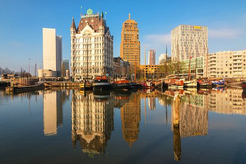 Oude haven Rotterdam in ochtendlicht