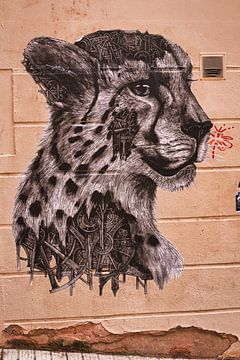 Cheetah op de muur van Raphael Kipfer