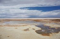 Kleurrijke lagune in Salar de Uyuni in Bolivia van Tjeerd Kruse thumbnail