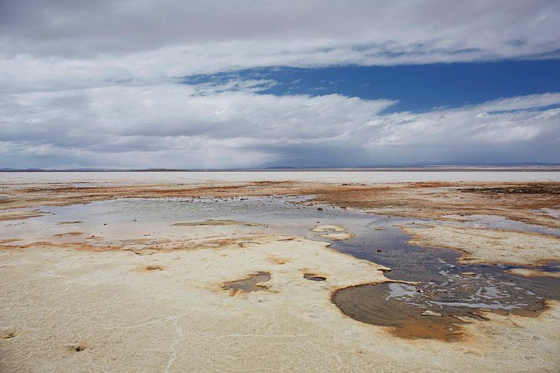 Kleurrijke lagune in Salar de Uyuni in Bolivia van Tjeerd Kruse
