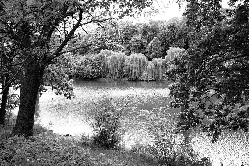 Vue sur la Hase et la rive par Bianca Meyering Fotos - BMF