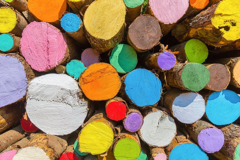 Pile of colored painted tree trunks as a background or art by Ben Schonewille