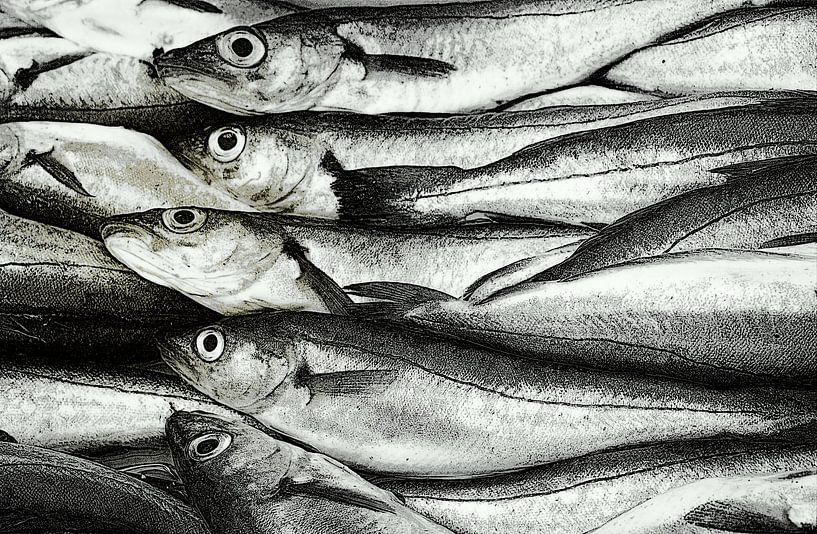 Vis.Op de vismarkt van marleen brauers