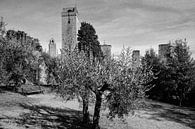 The Towers of San Gimignano by Frank Andree thumbnail