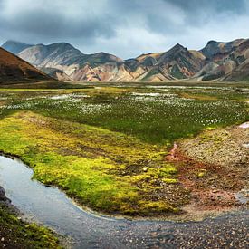 Panorama van de rivier Vondugiljaaurar van Wojciech Kruczynski