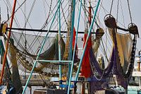 In de haven van Lauwersoog