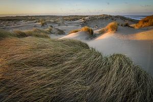 Licht und Schatten von Dirk van Egmond