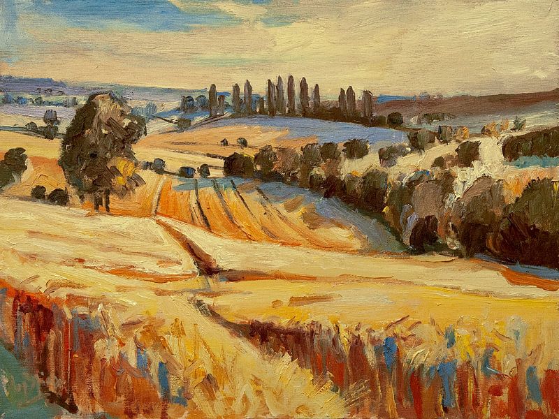 Grain fields around Eys by Nop Briex
