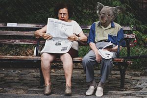 Koala avec son patron sur un banc