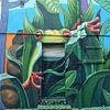 Bienvenue dans la jungle ! Grenouille et toucan de Street Art. sur My Footprints