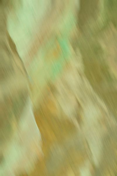 Spelen met kleuren bruin en groen van didier de borle