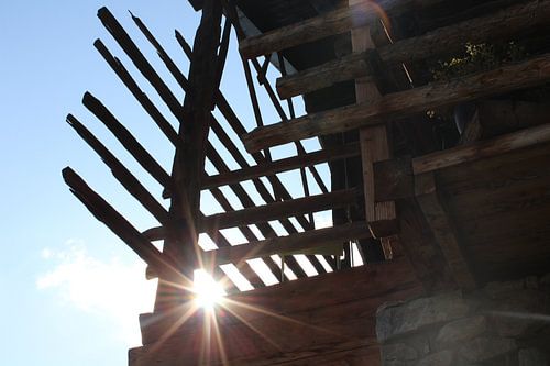 Nieuwsgierig zonlicht