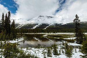 Landschaft in den Rocky Mountains