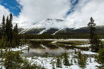 Rocky Mountains landscape by Roland Brack