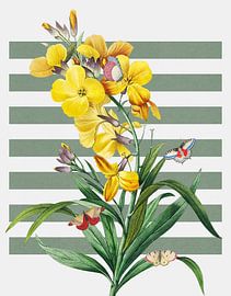 the Spring Collection