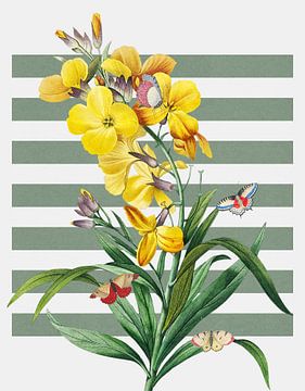 the Spring Collection van Marja van den Hurk