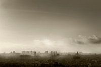 City of Angels