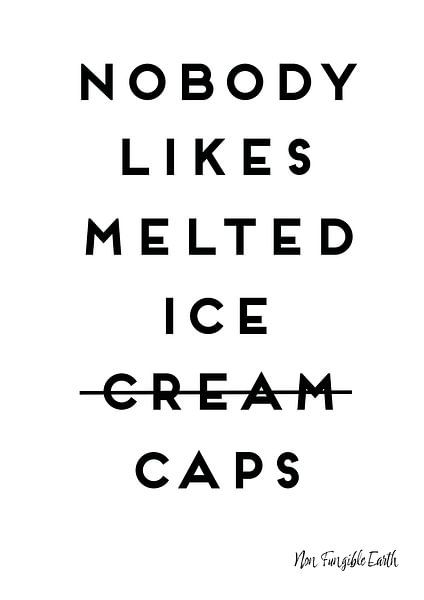 Nobody likes melted ice caps van Bouwke Franssen