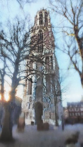 Domtoren in novemberlicht