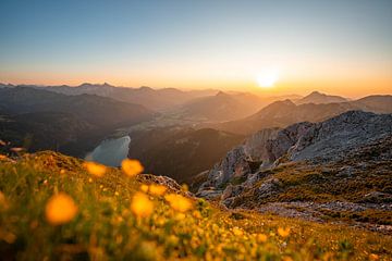 Blumige Sicht auf die Tannheimer Berge zum Sonnenuntergang von Leo Schindzielorz