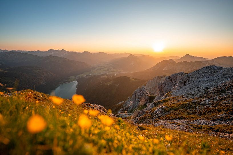 Vue fleurie sur les montagnes de Tannheim au coucher du soleil par Leo Schindzielorz
