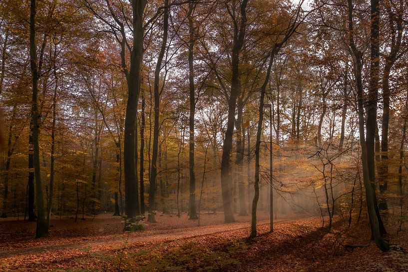 Herfststemming in de vroege ochtend van Kurt Krause