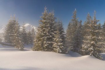 Sonnenaufgang im Tannheimer Tal im Winter. Über den Wolken mit frischem Schnee von Daniel Pahmeier