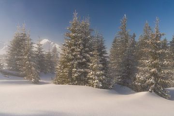 Sunrise in the Tannheimer valley in winter. Above the clouds with fresh snow