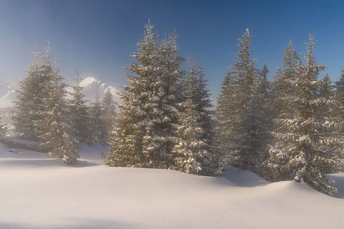 Sonnenaufgang im Tannheimer Tal im Winter. Über den Wolken mit frischem Schnee