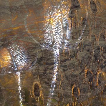 Zomer en winter verenigd