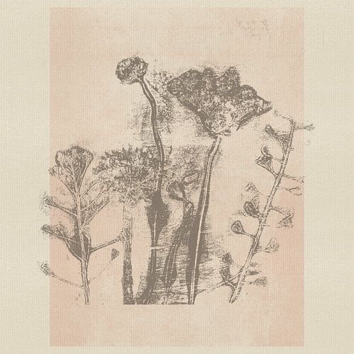 Minimalistisch botanisch met wilde weideplanten