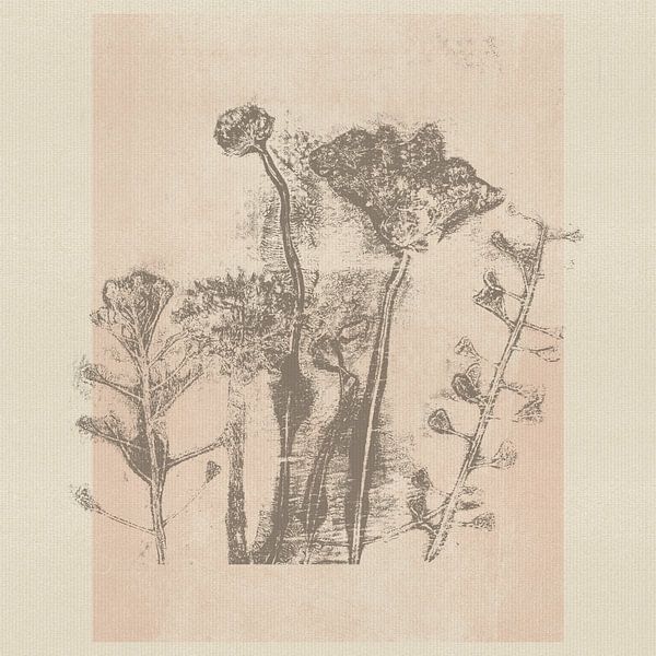 Minimalist botanical with wild meadow plants by Dina Dankers