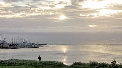 Ochtendstilte aan het Water