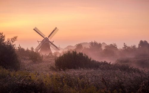Noordermolen  in Noorddijk in de mist