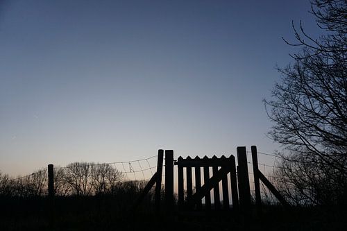 Hek bij zonsondergang