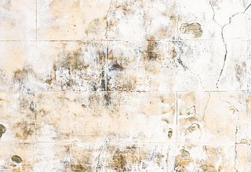 Vintage grunge dirty wall backdrop texture, close-up by Alex Winter