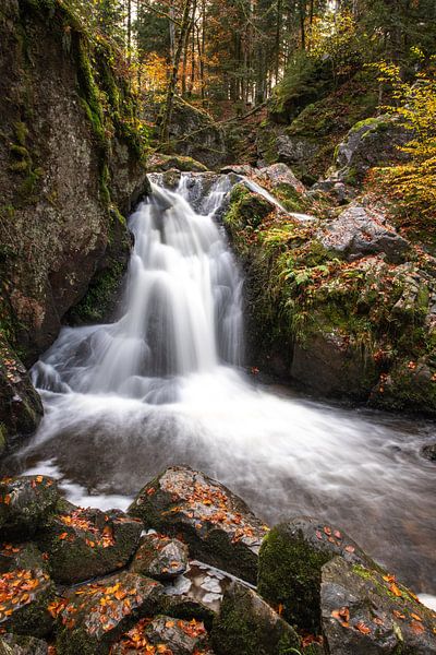 Tendon kleine waterval van Alexander Wolff