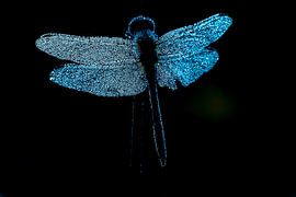 Libel in het zwart sur Esther Ehren