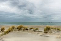 Sand, Meer und Dünen