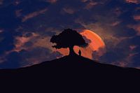 Lost