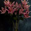 Roze Lelies van PhotoManiX Artworks