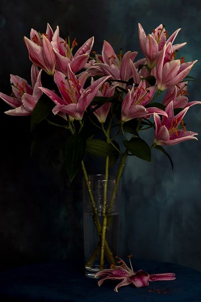 Pink Lilies by PhotoManiX Digital Photography