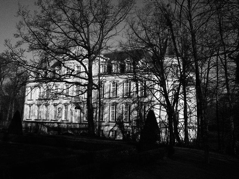Poeke Castle by Rex Quintyn