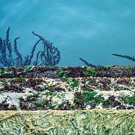 Venise à marée basse sur Stefania van Lieshout