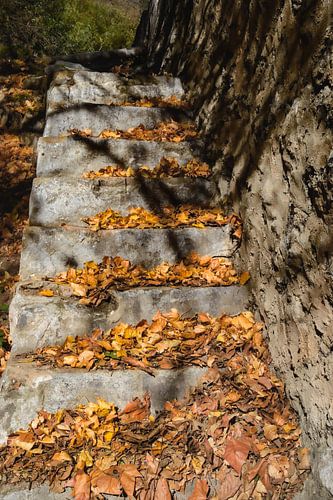 Feuilles d'automne sur un vieil escalier sur Alice's Pictures